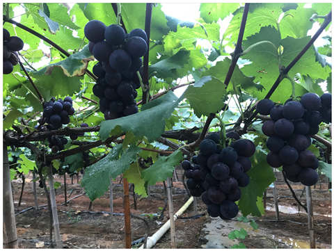 万利官网-相信品牌力量