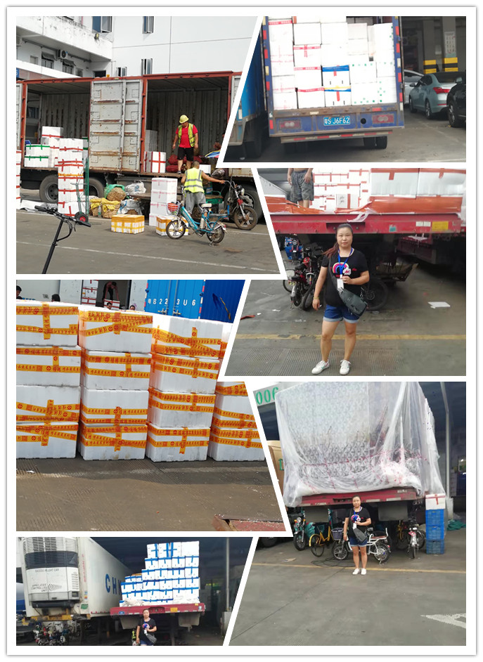 万利官网-相信品牌力量