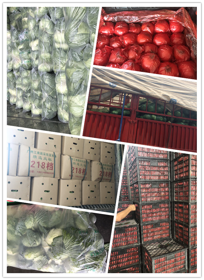 万利官网-相信品牌力量