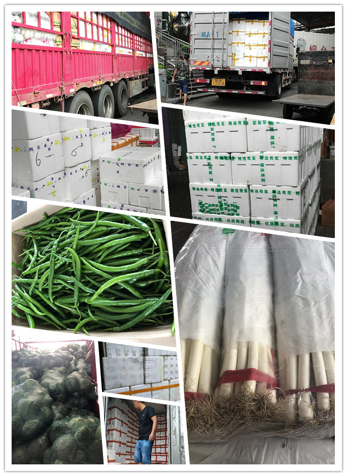 万利官网-相信品牌力量