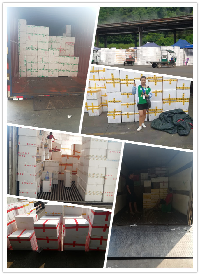 万利官网-相信品牌力量