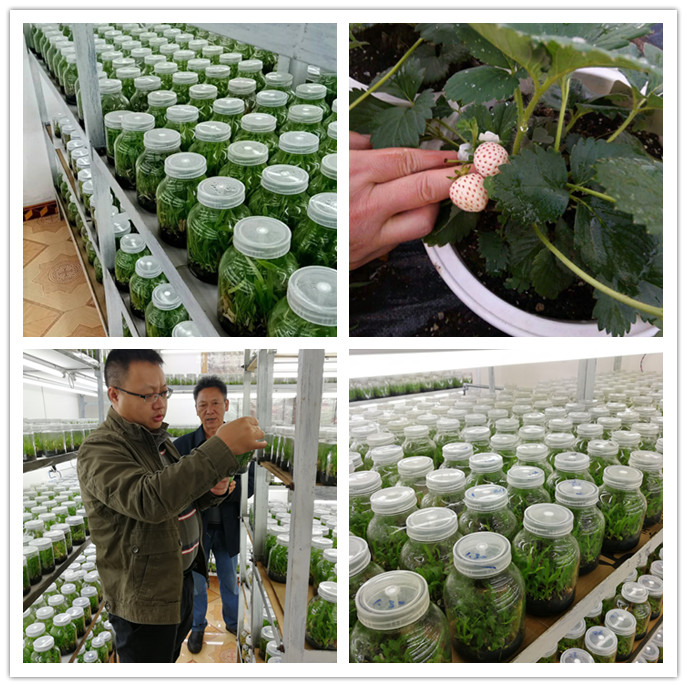 万利官网-相信品牌力量