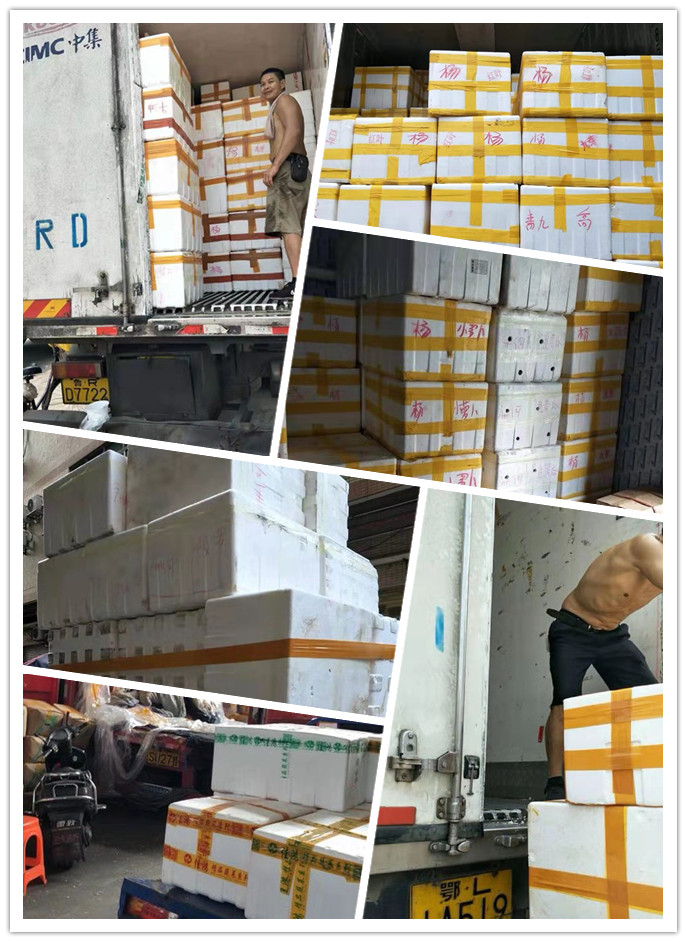 万利官网-相信品牌力量