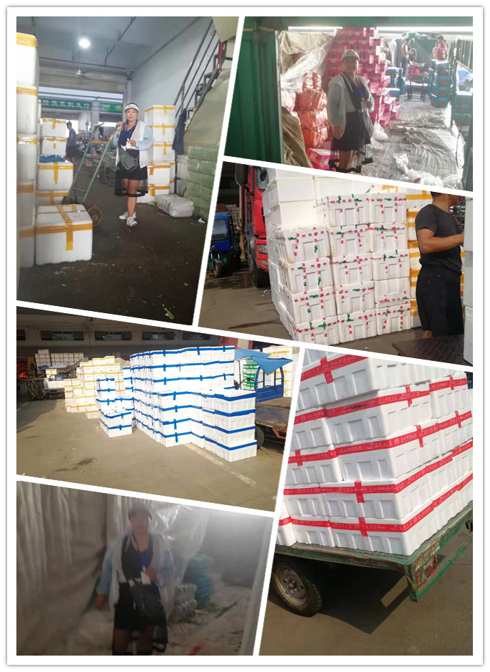 万利官网-相信品牌力量