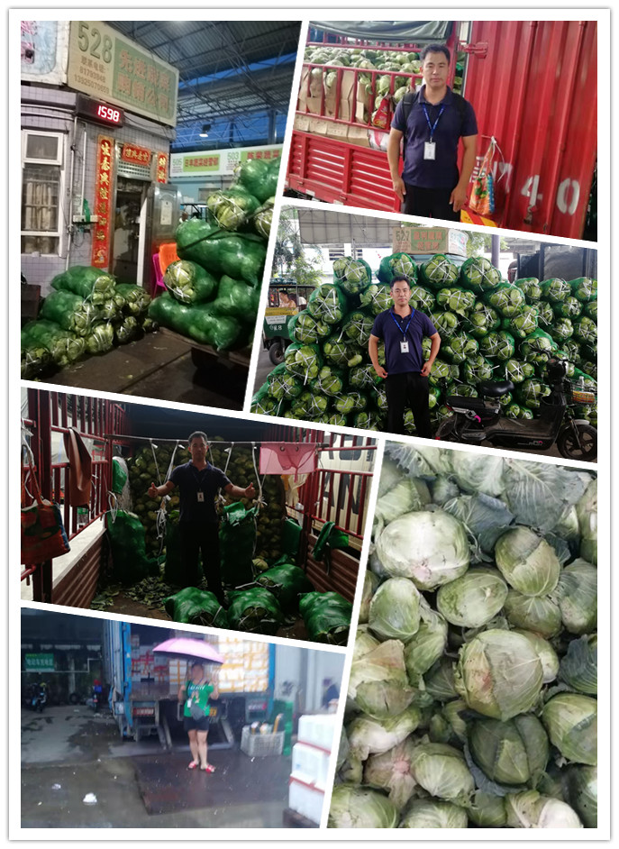 万利官网-相信品牌力量