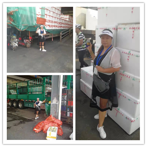 万利官网-相信品牌力量