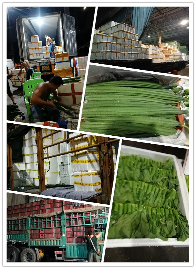 万利官网-相信品牌力量