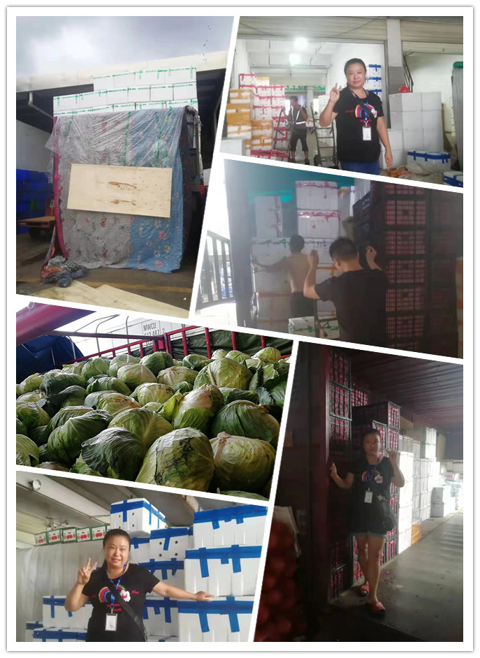 万利官网-相信品牌力量