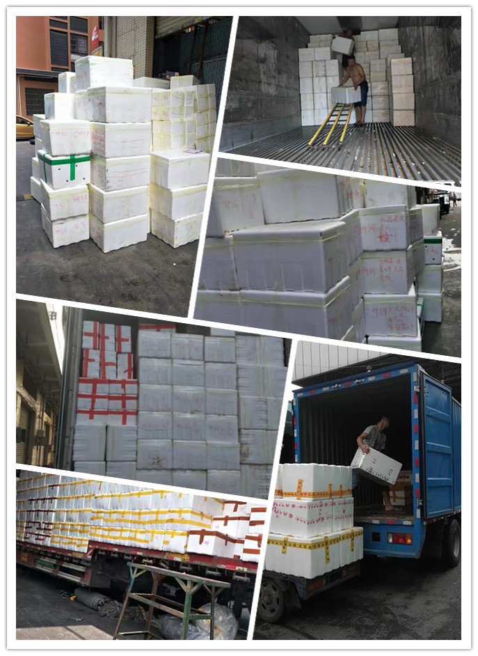 万利官网-相信品牌力量