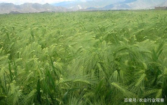 万利官网-相信品牌力量