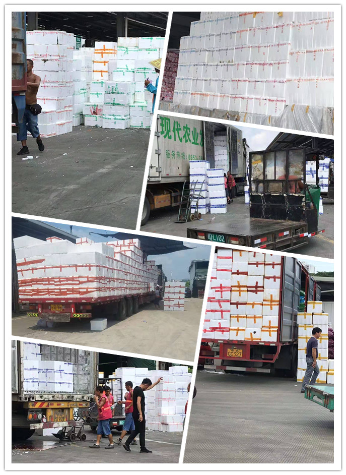 万利官网-相信品牌力量