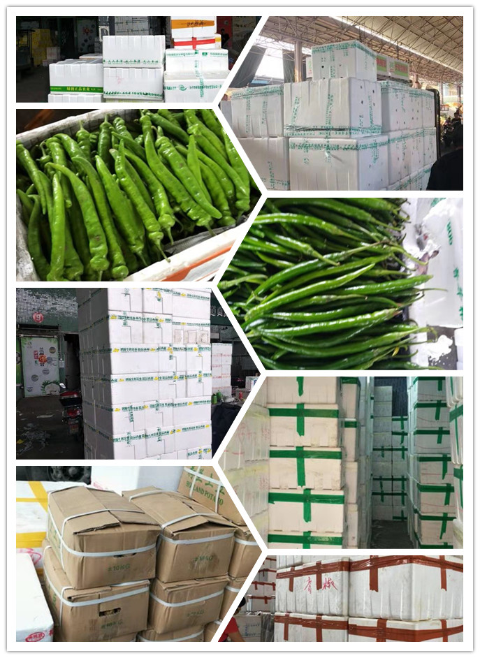 万利官网-相信品牌力量