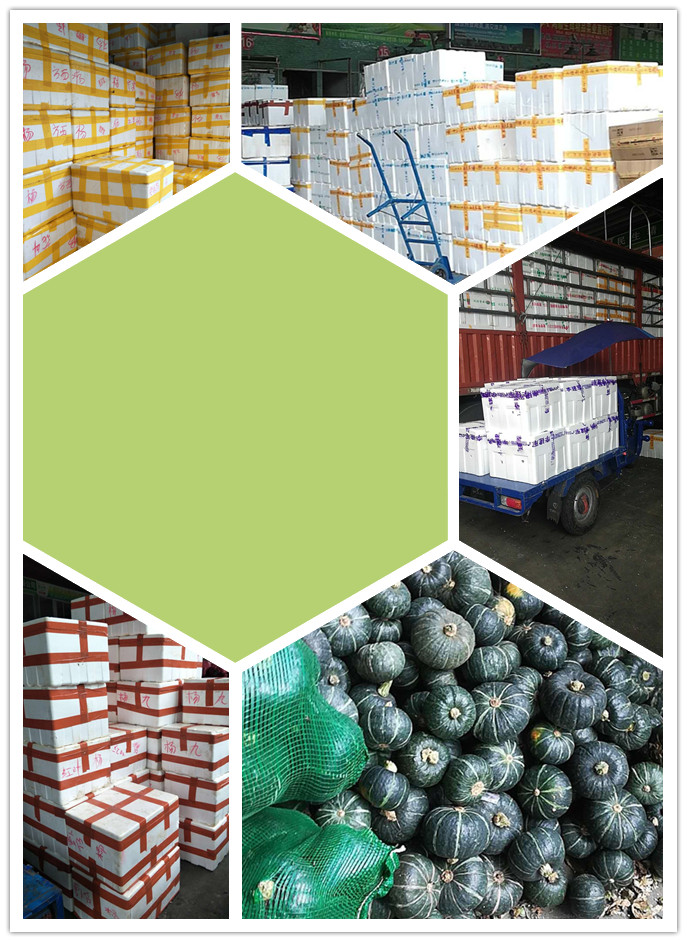 万利官网-相信品牌力量