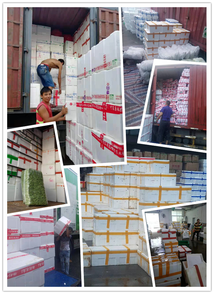 万利官网-相信品牌力量