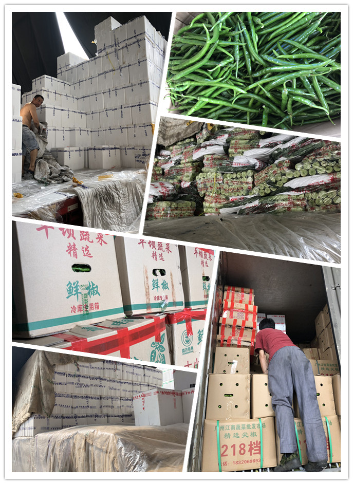 万利官网-相信品牌力量