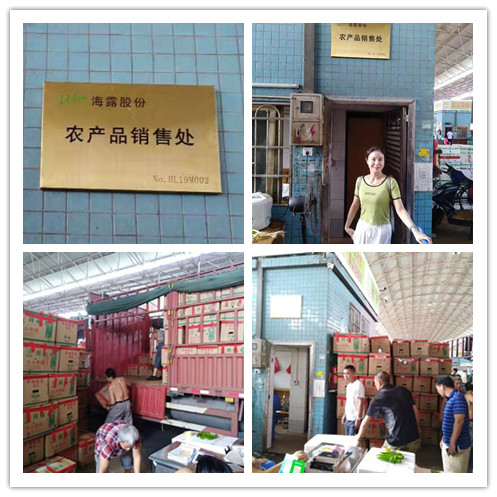 万利官网-相信品牌力量