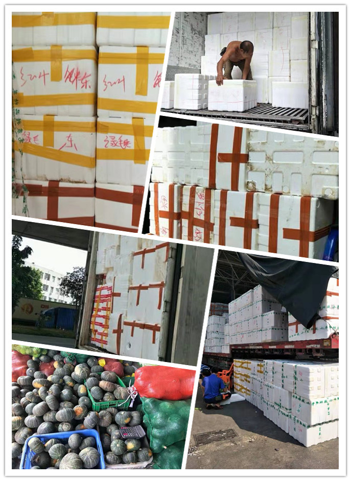 万利官网-相信品牌力量