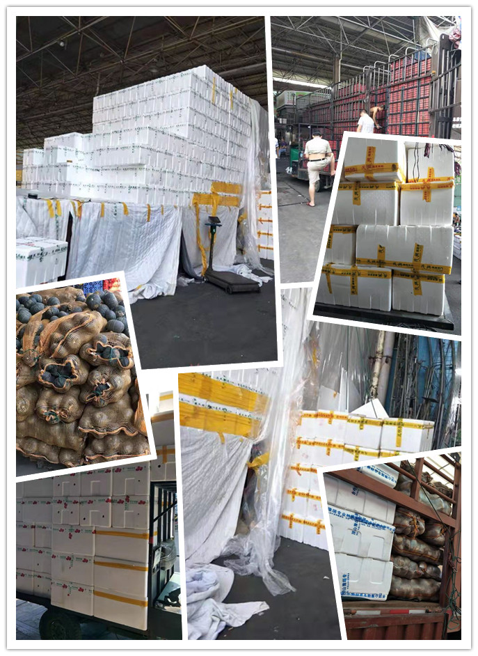 万利官网-相信品牌力量