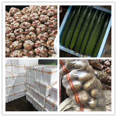 万利官网-相信品牌力量