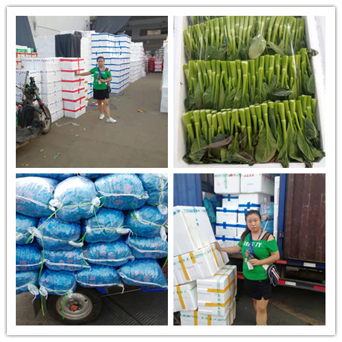 万利官网-相信品牌力量