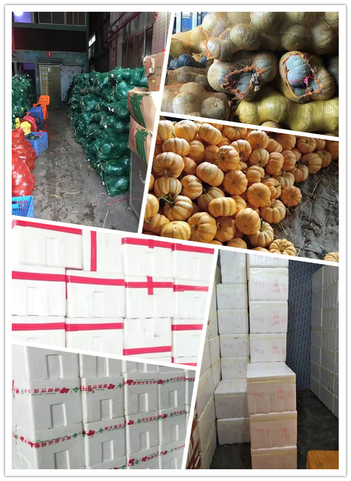 万利官网-相信品牌力量