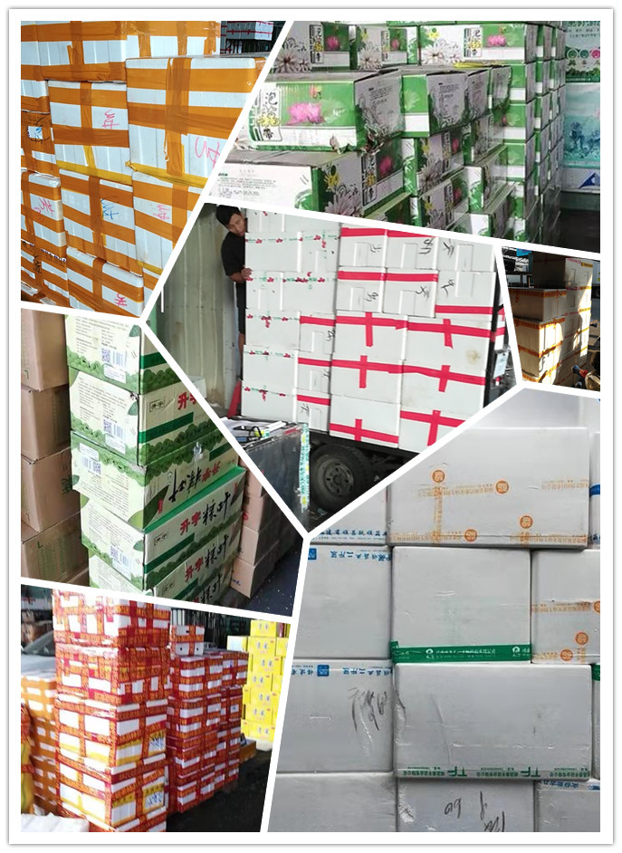 万利官网-相信品牌力量