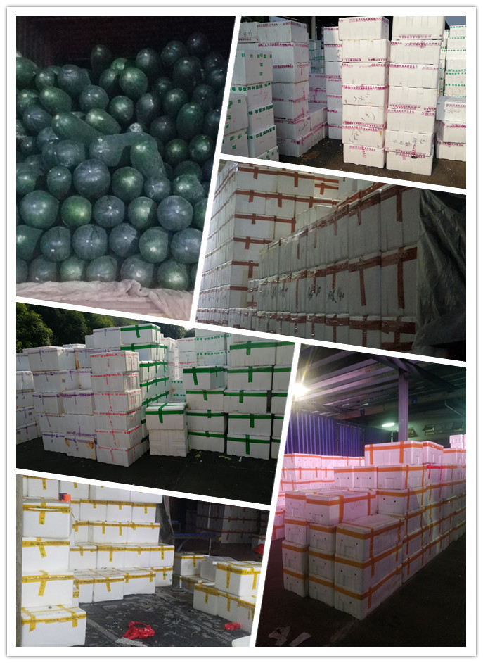 万利官网-相信品牌力量