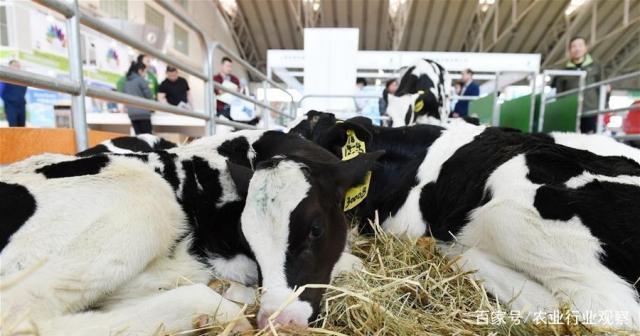 万利官网-相信品牌力量