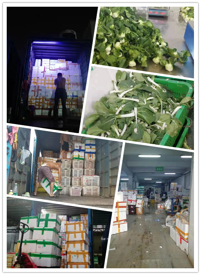 万利官网-相信品牌力量