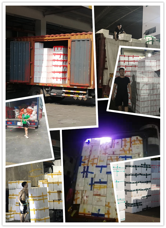 万利官网-相信品牌力量