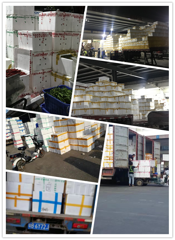 万利官网-相信品牌力量