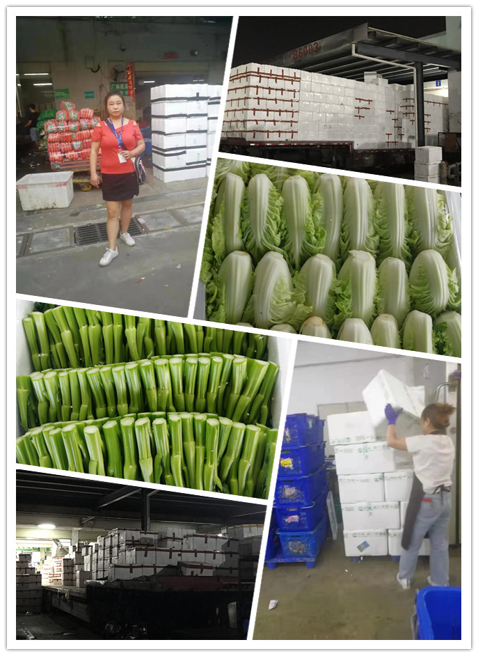 万利官网-相信品牌力量