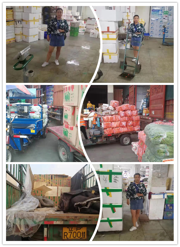 万利官网-相信品牌力量