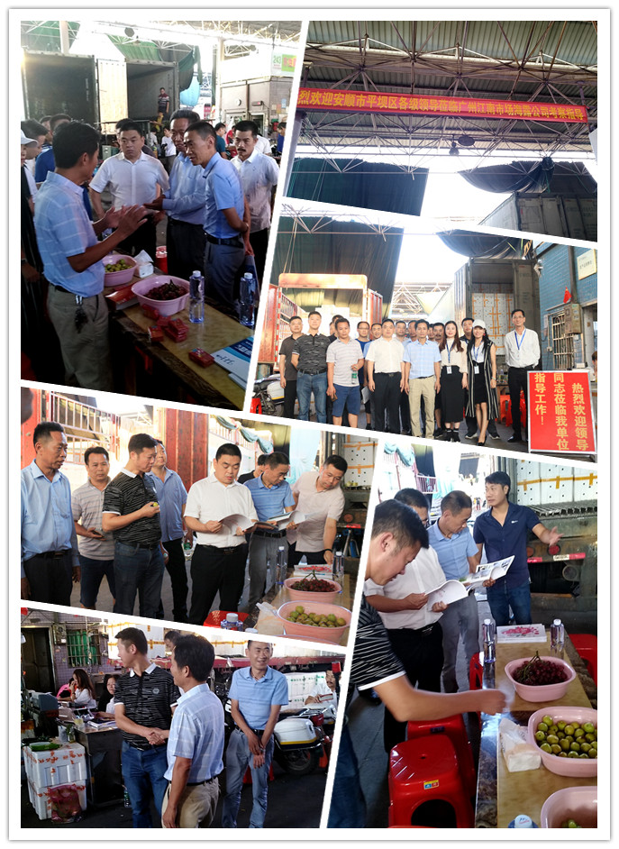 万利官网-相信品牌力量