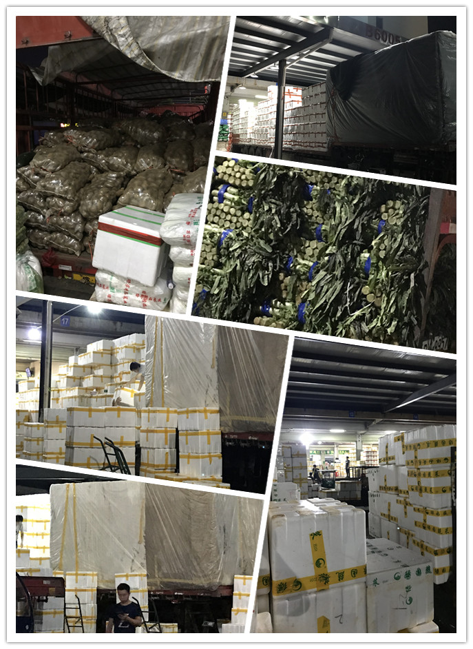 万利官网-相信品牌力量