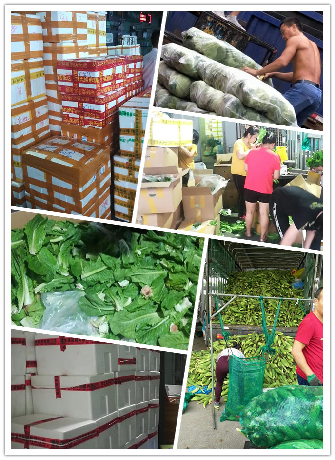 万利官网-相信品牌力量