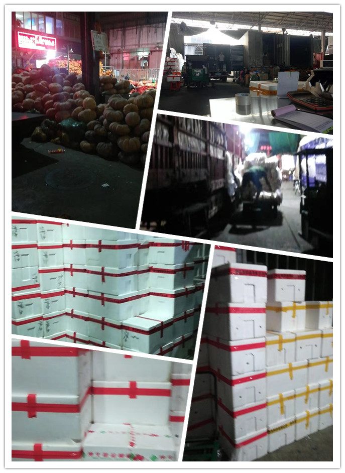 万利官网-相信品牌力量