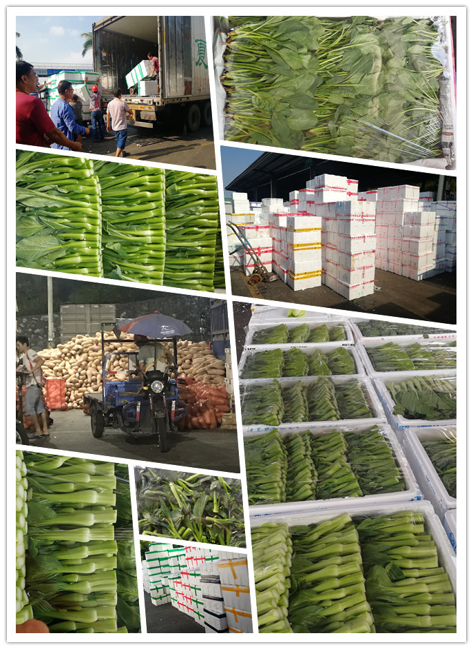 万利官网-相信品牌力量