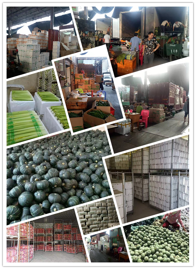 万利官网-相信品牌力量