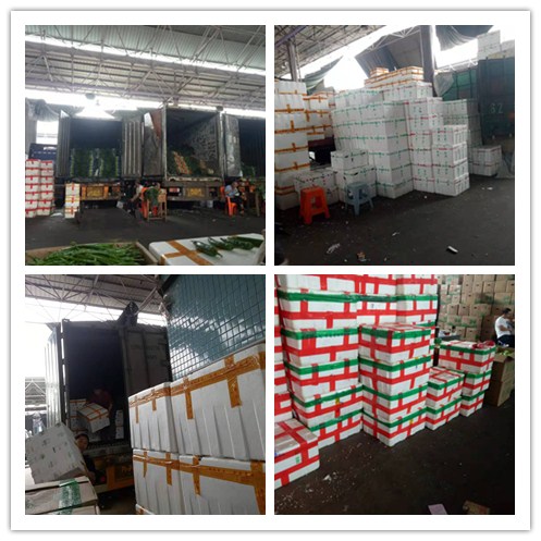 万利官网-相信品牌力量