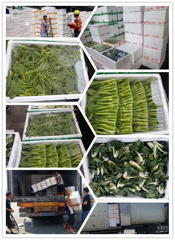 万利官网-相信品牌力量