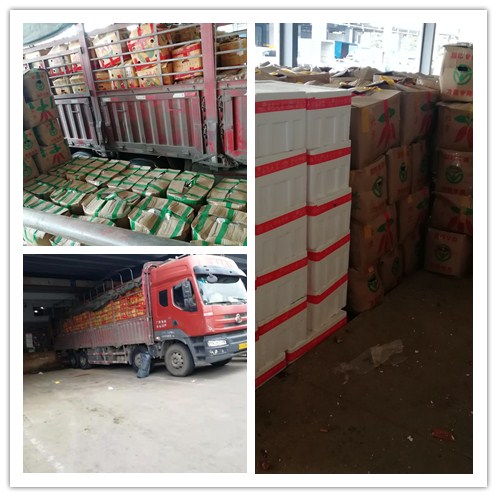 万利官网-相信品牌力量