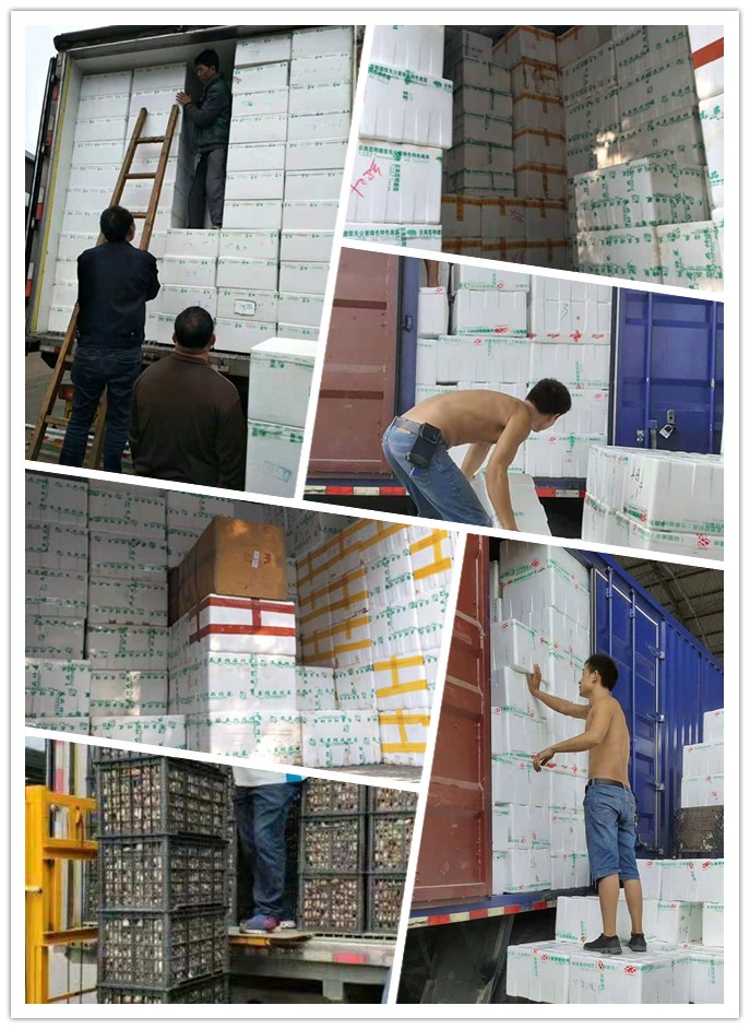 万利官网-相信品牌力量