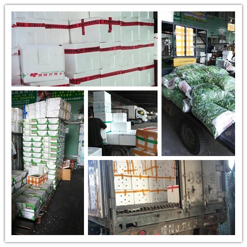 万利官网-相信品牌力量