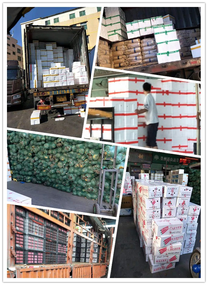 万利官网-相信品牌力量