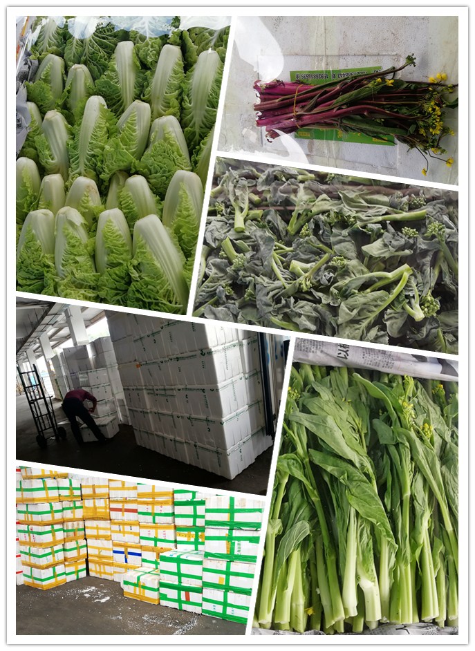 万利官网-相信品牌力量