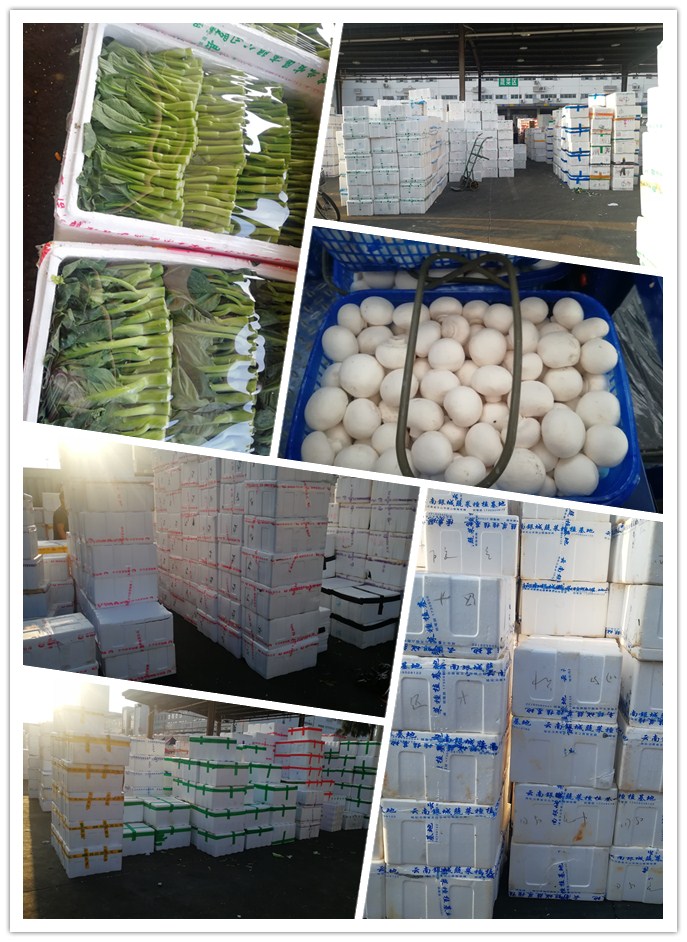 万利官网-相信品牌力量