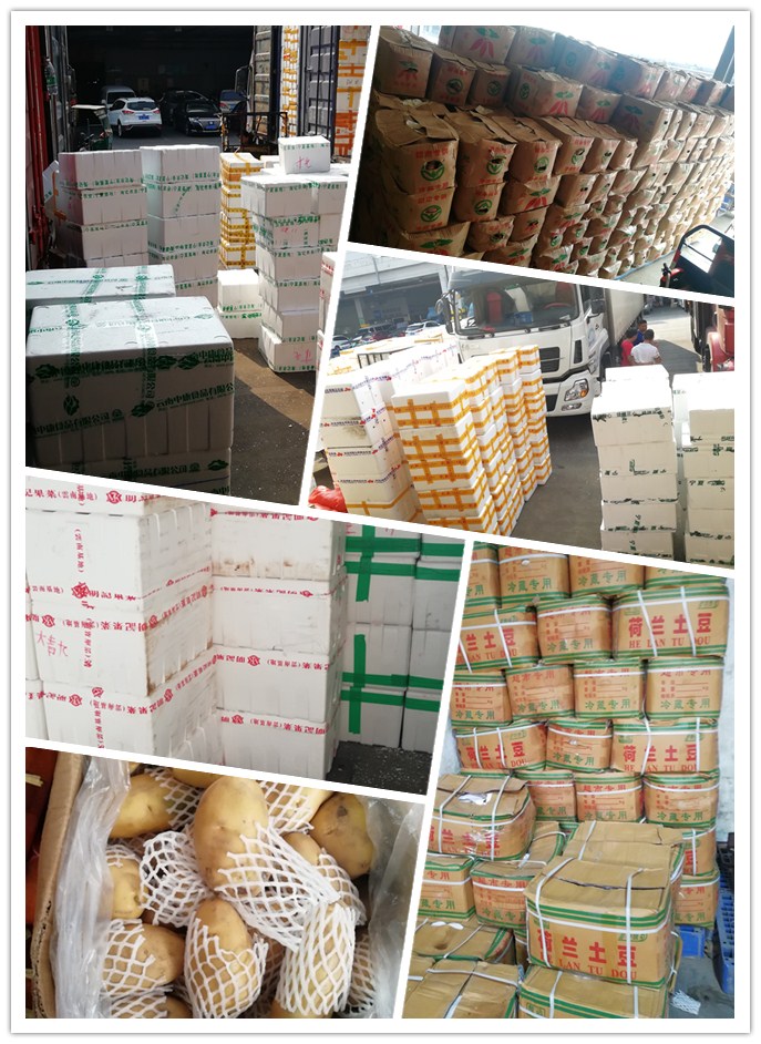 万利官网-相信品牌力量