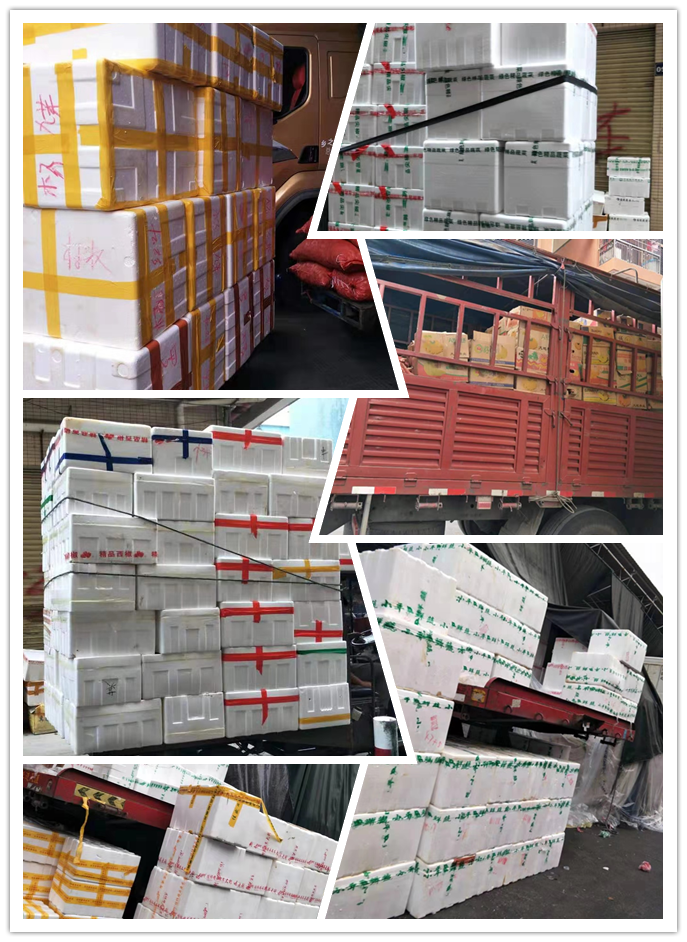 万利官网-相信品牌力量