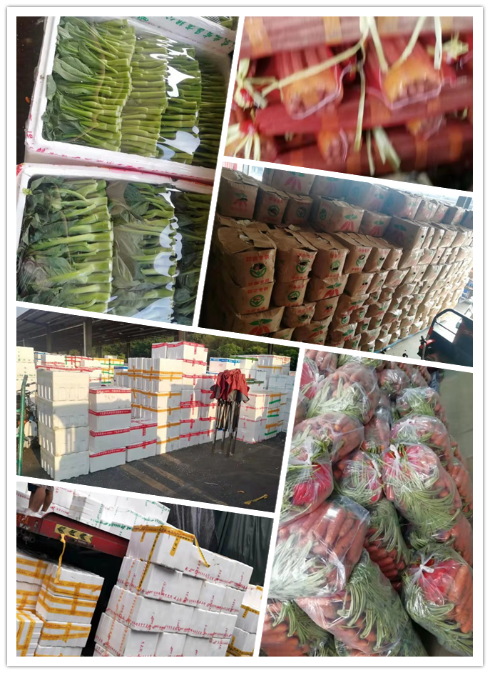 万利官网-相信品牌力量